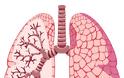Άσθμα, μια σύγχρονη επιδημία. Παγκόσμια Ημέρα Άσθματος - Φωτογραφία 4