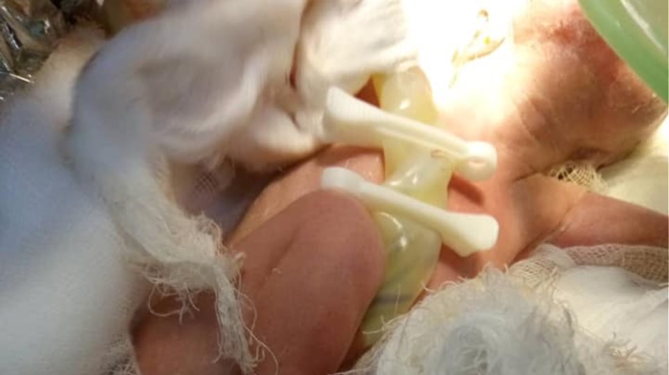 Γυναίκα γέννησε στα διόδια Λεπτοκαρυάς με τη βοήθεια ΕΚΑΒ και Τροχαίας - Φωτογραφία 1