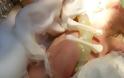 Γυναίκα γέννησε στα διόδια Λεπτοκαρυάς με τη βοήθεια ΕΚΑΒ και Τροχαίας