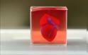 Επιστήμονες καταφέρνουν να δημιουργήσουν μία 3D printed καρδιά - Φωτογραφία 1