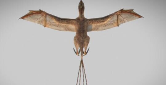 Ανακαλύφθηκε δεινόσαυρος με φτερά νυχτερίδας - Φωτογραφία 1