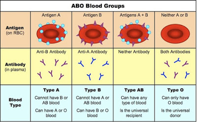 Ομάδες αίματος, παράγοντας ρέζους και οι σχέσεις τους με ορισμένες ασθένειες. Μύθοι και αλήθειες για την αιμοδοσία - Φωτογραφία 3
