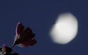 Απόψε η πανσέληνος του Μαΐου το «Φεγγάρι του Λουλουδιού»