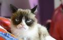 Πέθανε η Grumpy Cat, η πιο διάσημη γάτα του ίντερνετ