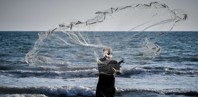 Συναγερμός στο Αιγαίο: Ψάρια-δολοφόνοι στα ελληνικά νερά - Φωτογραφία 1