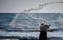 Συναγερμός στο Αιγαίο: Ψάρια-δολοφόνοι στα ελληνικά νερά