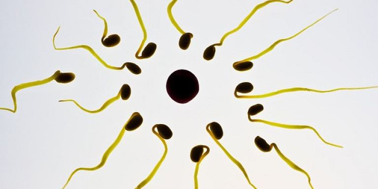 Eρευνα: Να ποιοι έχουν τη χειρότερη ποιότητα σπέρματος στην Ευρώπη - Φωτογραφία 1