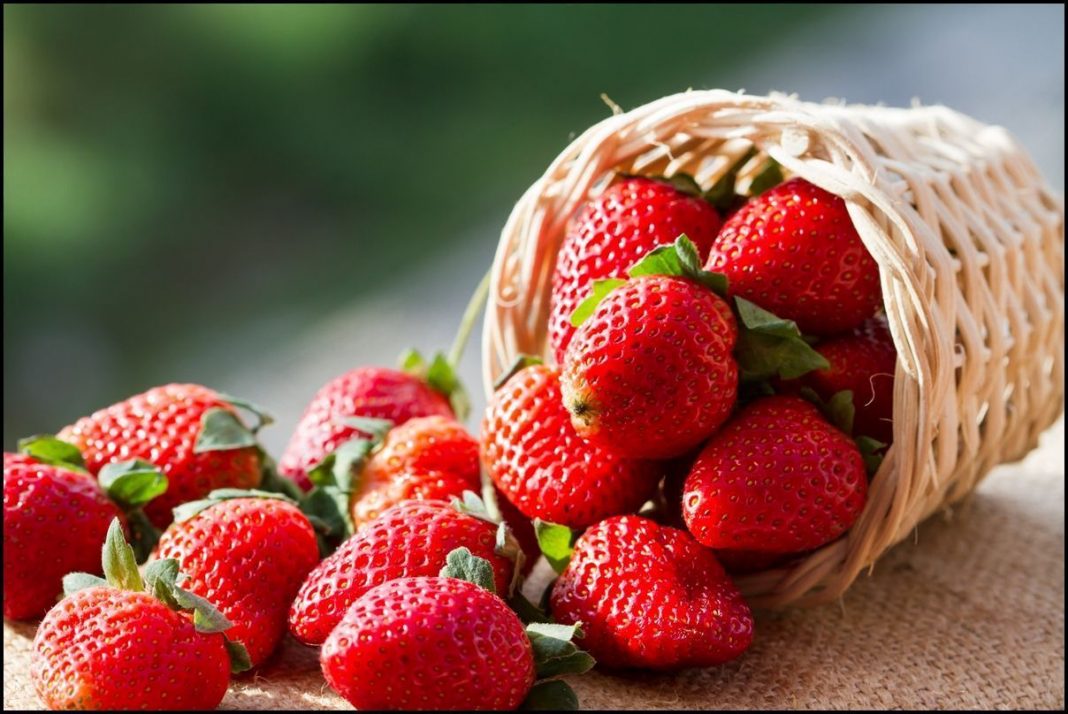 Τι θρεπτικά συστατικά μας προσφέρουν οι φράουλες - Φωτογραφία 1