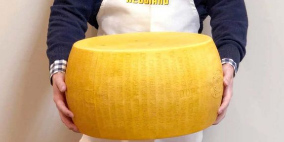 Αυτό το τεράστιο κεφάλι τυρί ζυγίζει 32 κιλά και πωλείται για $900! - Φωτογραφία 1
