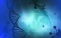Τεχνητή ζωή: Εφτιαξαν μικροοργανισμό με DNA πλήρως ανασχεδιασμένο