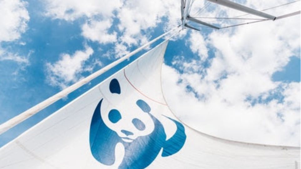Το καράβι του WWF «Blue Panda» έρχεται Ελλάδα - Φωτογραφία 1
