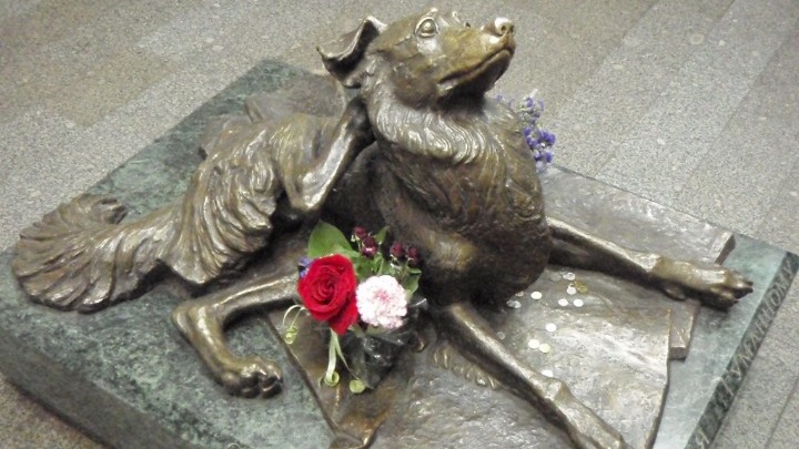 «Συμπόνια», ένα άγαλμα για ένα σκυλάκι στο μετρό της Μόσχας - Φωτογραφία 1