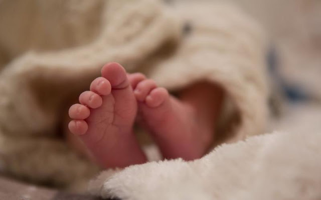 Γεννήθηκε το πιο μικρό μωρό του κόσμου - Ζυγίζει μόλις 245 γραμμάρια, πήρε εξιτήριο μετά από πέντε μήνες - Φωτογραφία 1