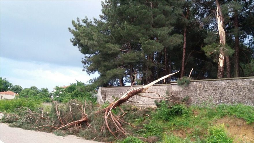 Διδυμότειχο: Καταιγίδα παρέσυρε στέγες, έριξε κολόνα φωτισμού και έσπασε δέντρα - Φωτογραφία 2