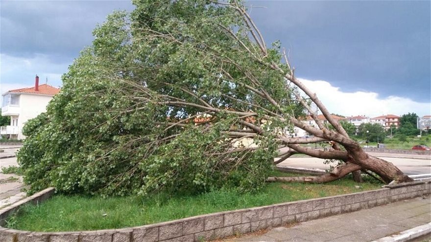 Διδυμότειχο: Καταιγίδα παρέσυρε στέγες, έριξε κολόνα φωτισμού και έσπασε δέντρα - Φωτογραφία 4