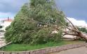 Διδυμότειχο: Καταιγίδα παρέσυρε στέγες, έριξε κολόνα φωτισμού και έσπασε δέντρα - Φωτογραφία 4