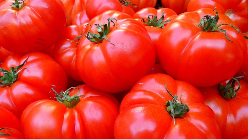 Βρέθηκε το γονίδιο που κάνει νόστιμη τη ντομάτα - Φωτογραφία 1