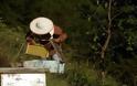 Τραγικό τέλος για 75χρονο -Του επιτέθηκαν δεκάδες μέλισσες