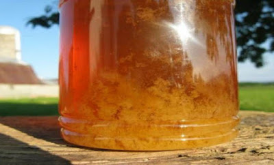 Τι σημαίνει όταν κρυσταλλώνει το μέλι; Όλη η κρυμμένη αλήθεια που πρέπει να ξέρετε… - Φωτογραφία 1