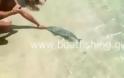 Βίντεο: Λαγοκέφαλος δάγκωσε λουόμενο στην Κάρπαθο