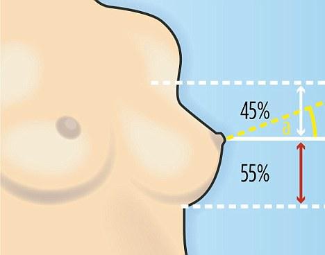 Τι σχήμα έχει το… τέλειο γυναικείο στήθος [vid] - Φωτογραφία 2