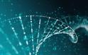 Η μετάλλαξη του ανθρώπινου DNA μπορεί να μειώσει τη διάρκεια ζωής