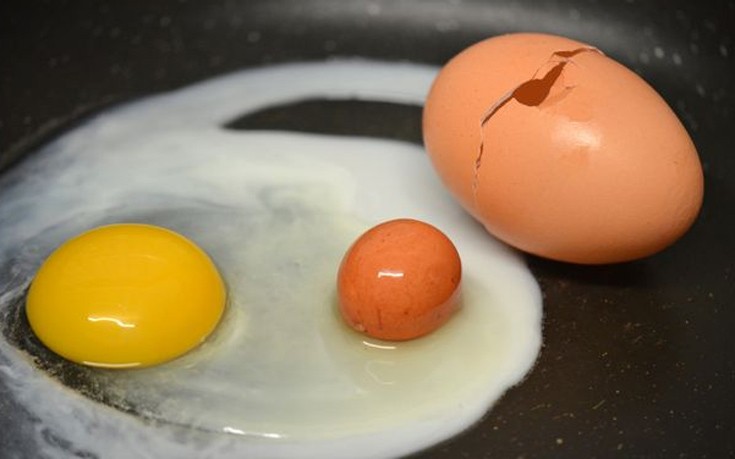 Έσπασε ένα αυγό και δεν βρήκε μέσα μόνο τον κρόκο!! (Φωτογραφίες) - Φωτογραφία 2
