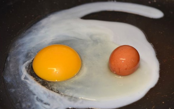 Έσπασε ένα αυγό και δεν βρήκε μέσα μόνο τον κρόκο!! (Φωτογραφίες) - Φωτογραφία 3
