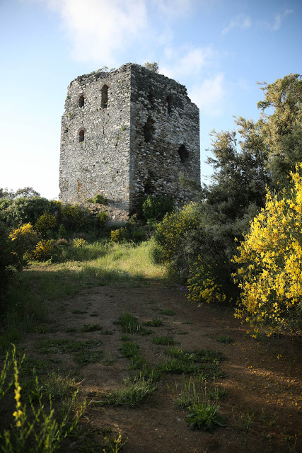 12133 - Ο πύργος της μονής του Καλέτζη (Κολιτσού). Θρύλος, ιστορία, φωτογραφίες - Φωτογραφία 21