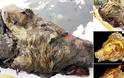 Κεφάλι τεράστιου προϊστορικού λύκου βρέθηκε στη Σιβηρία (pics)