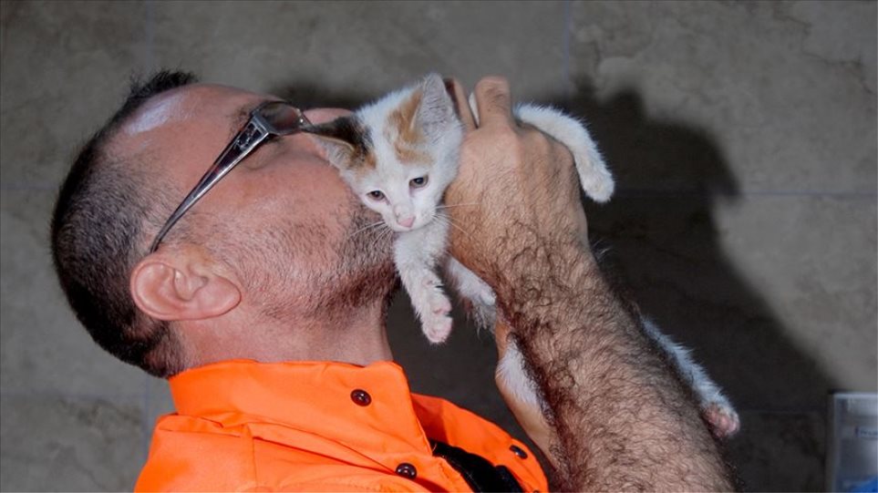 Βίντεο: Εργάτης έσωσε γατάκι δίνοντας του το «φιλί της ζωής» - Φωτογραφία 1