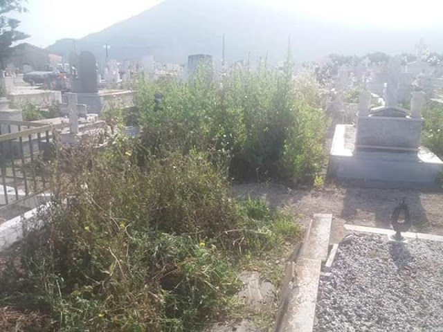 ΚΑΤΑΓΓΕΛΙΑ ΑΝΑΓΝΩΣΤΩΝ: Πνιγμένο στα ξερόχορτα το κοιμητήριο της Βόνιτσας -ΦΩΤΟ - Φωτογραφία 1