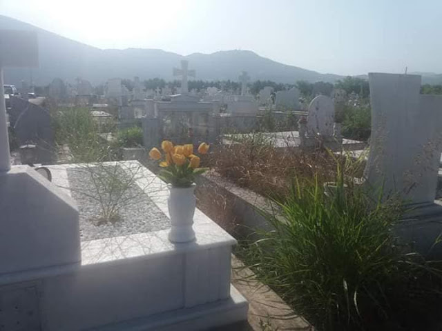 ΚΑΤΑΓΓΕΛΙΑ ΑΝΑΓΝΩΣΤΩΝ: Πνιγμένο στα ξερόχορτα το κοιμητήριο της Βόνιτσας -ΦΩΤΟ - Φωτογραφία 5