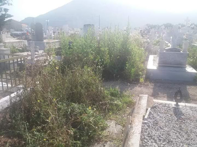 ΚΑΤΑΓΓΕΛΙΑ ΑΝΑΓΝΩΣΤΩΝ: Πνιγμένο στα ξερόχορτα το κοιμητήριο της Βόνιτσας -ΦΩΤΟ - Φωτογραφία 8