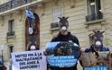 Διαμαρτυρία στο Παρίσι για τα γαϊδουράκια της Σαντορίνης