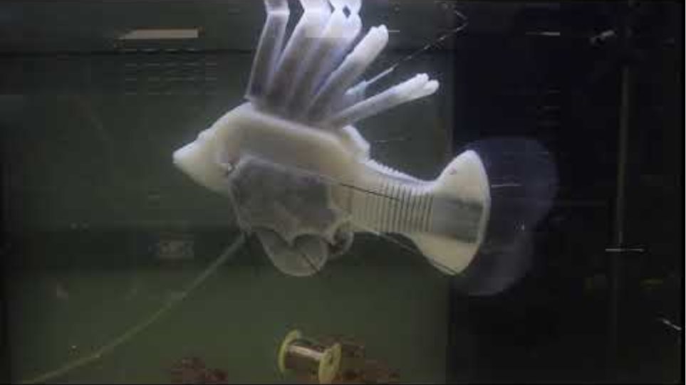 Το πρώτο ρομποτικό ψάρι που κινείται με συνθετικό αίμα - Φωτογραφία 1