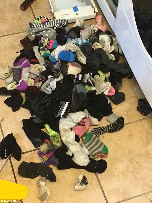Πώς χάνονται οι... κάλτσες στο πλυντήριο - Φωτογραφία 4