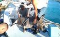 Καρέ καρέ η επιχείρηση διάσωσης ενός γαιδουριού από βέβαιο θάνατο – Το έβαλαν σε μια βάρκα (Video) - Φωτογραφία 1