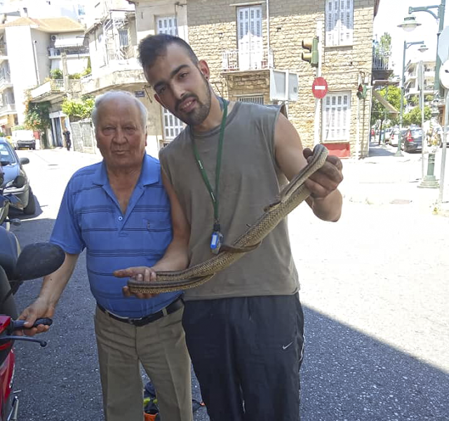 Αγρίνιο: Μεγάλο φίδι τρύπωσε σε μηχανάκι... - Φωτογραφία 1