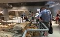 Μουσείο της Ακρόπολης: Στο φως η ανασκαφή από την αρχαία αθηναϊκή γειτονιά στο υπόγειο - Φωτογραφία 5