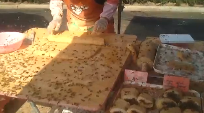 Εσείς πόσες μέλισσες φάγατε σήμερα; Απίστευτο video - Φωτογραφία 1