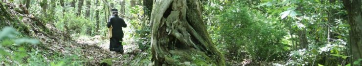 12194 - Δένδρο του Αθωνικού δάσους μετατράπηκε σε ασκητικό τόπο προσευχής! (φωτογραφίες) - Φωτογραφία 1