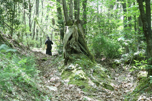 12194 - Δένδρο του Αθωνικού δάσους μετατράπηκε σε ασκητικό τόπο προσευχής! (φωτογραφίες) - Φωτογραφία 22