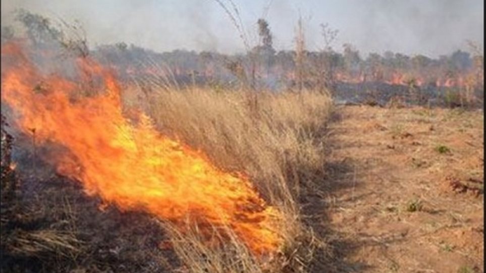 Έκαψαν χωρίς άδεια καλαμιές στα χωράφια τους, χάνουν τις κοινοτικές επιδοτήσεις - Φωτογραφία 1