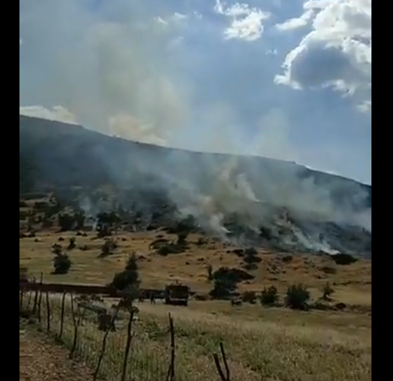 Κάηκαν 10 στρέμματα χορτολιβαδικής έκτασης στο ΜΟΝΑΣΤΗΡΑΚΙ Βόνιτσας - Φωτογραφία 1