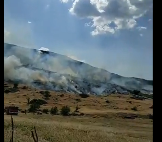 Κάηκαν 10 στρέμματα χορτολιβαδικής έκτασης στο ΜΟΝΑΣΤΗΡΑΚΙ Βόνιτσας - Φωτογραφία 2