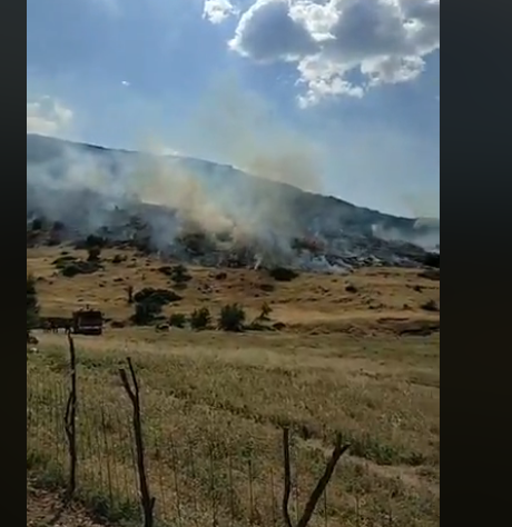 Κάηκαν 10 στρέμματα χορτολιβαδικής έκτασης στο ΜΟΝΑΣΤΗΡΑΚΙ Βόνιτσας - Φωτογραφία 3