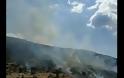 Κάηκαν 10 στρέμματα χορτολιβαδικής έκτασης στο ΜΟΝΑΣΤΗΡΑΚΙ Βόνιτσας