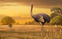 Το μεγαλύτερο πουλί που πάτησε στη Γη - Δεν μπορούσε να πετάξει, ζύγισε 450 κιλά