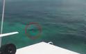 Μπαχάμες: Τουρίστρια βρήκε φρικτό θάνατο από καρχαρίες - Φωτογραφία 1
